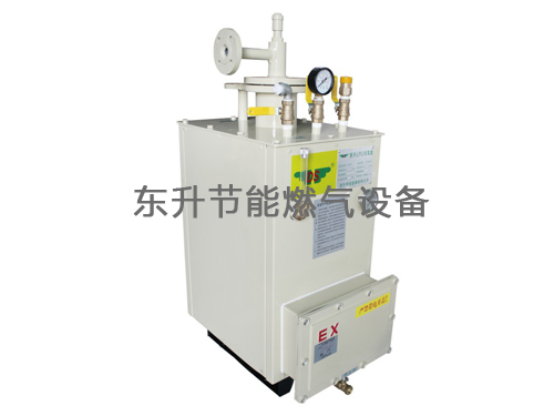 午夜福利在线看(LPG)防爆型午夜视频在线观看网站器(DS30—50kg／h)